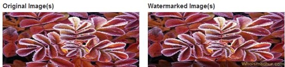 Watermark